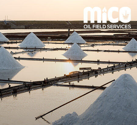 The Art of Harvesting Sea Salt: Ancient Techniques in the Modern World